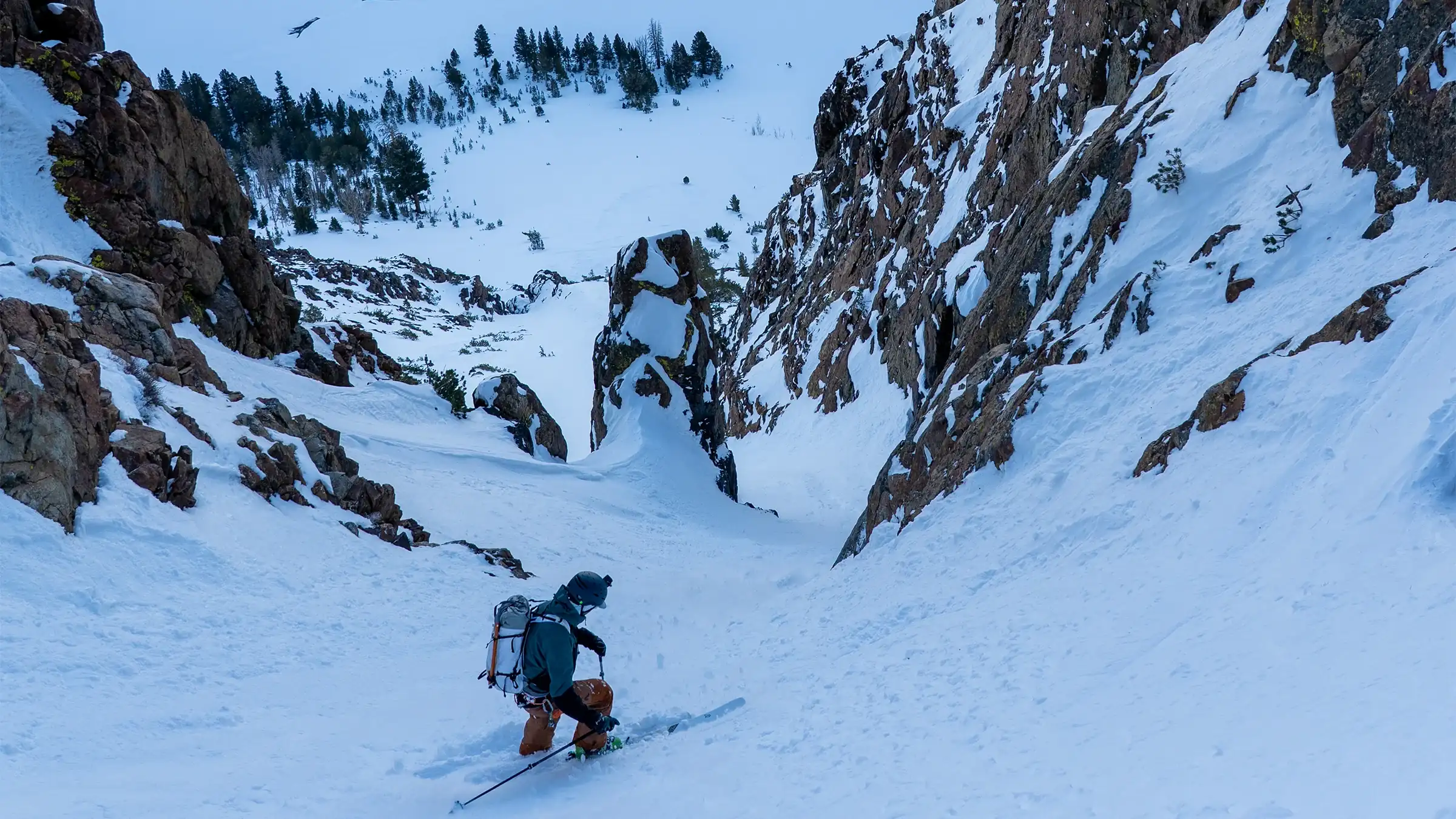 My Favorite Skis Ever Are Made from Algae-Based Plastics